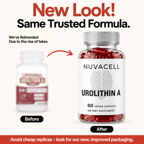 Nuvacell Longevity